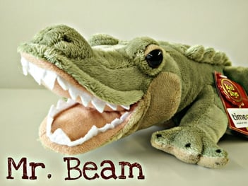 Mr_Beam_Alligator-768x576.jpg