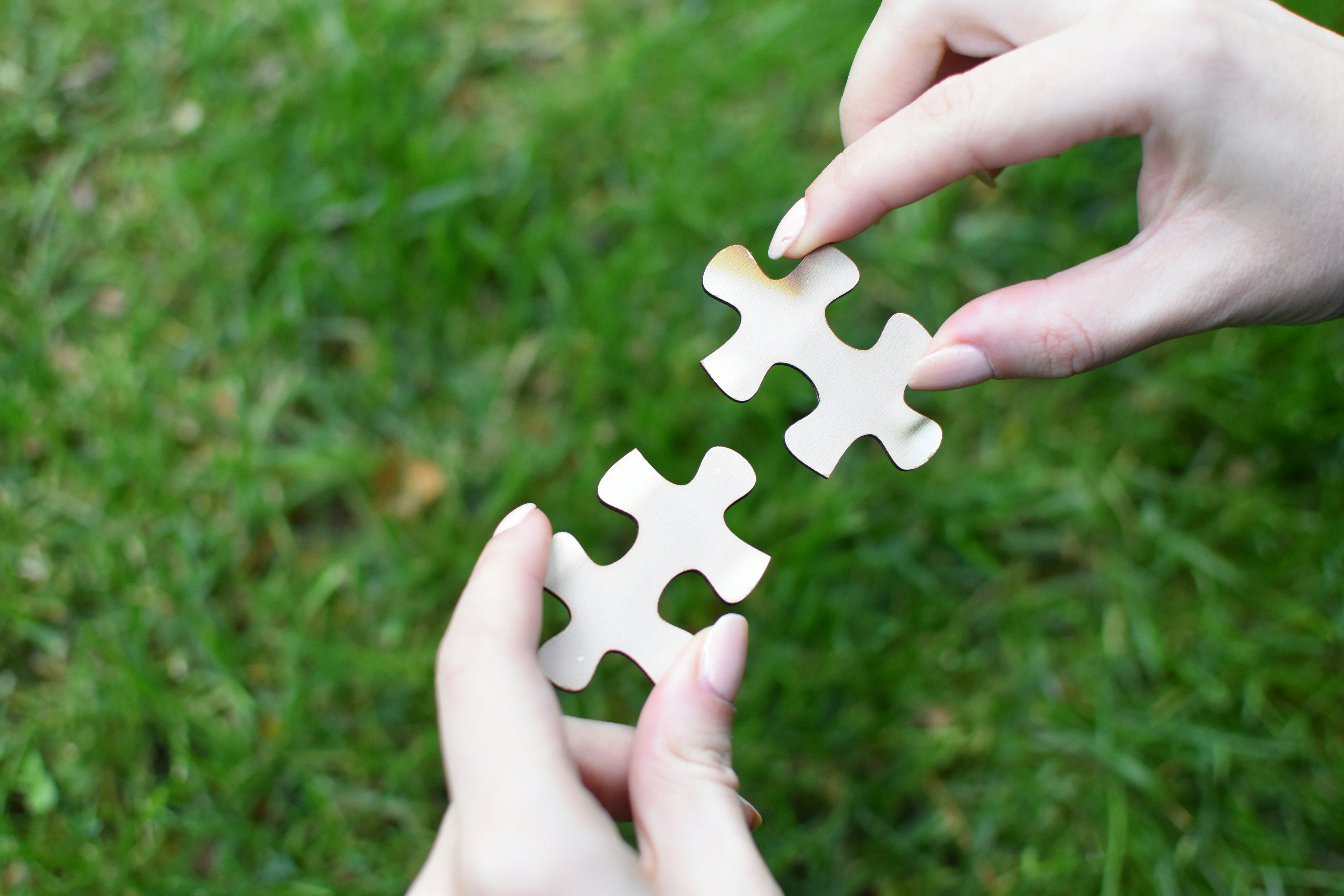 Partner page image
