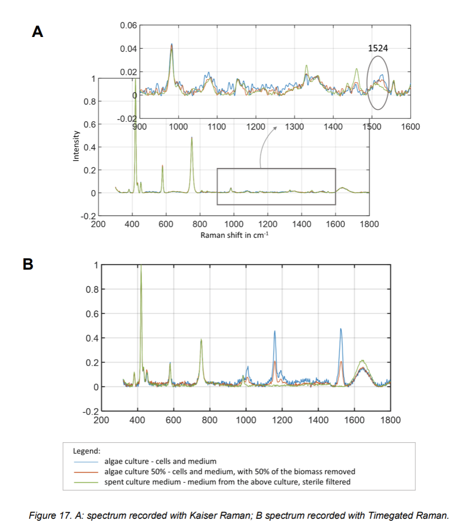 Screenshot 2026-02-03 at 15.40.01