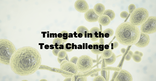 Timegate in the Testa Challenge ländäri