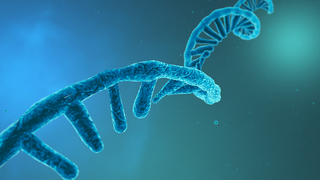 3D rendering of Coronavirus RNA strand.