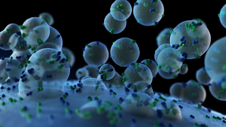Extracellular vesicles close-up.