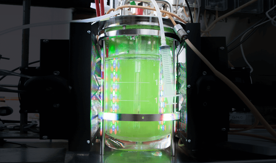 Bioreactor with green liquid.