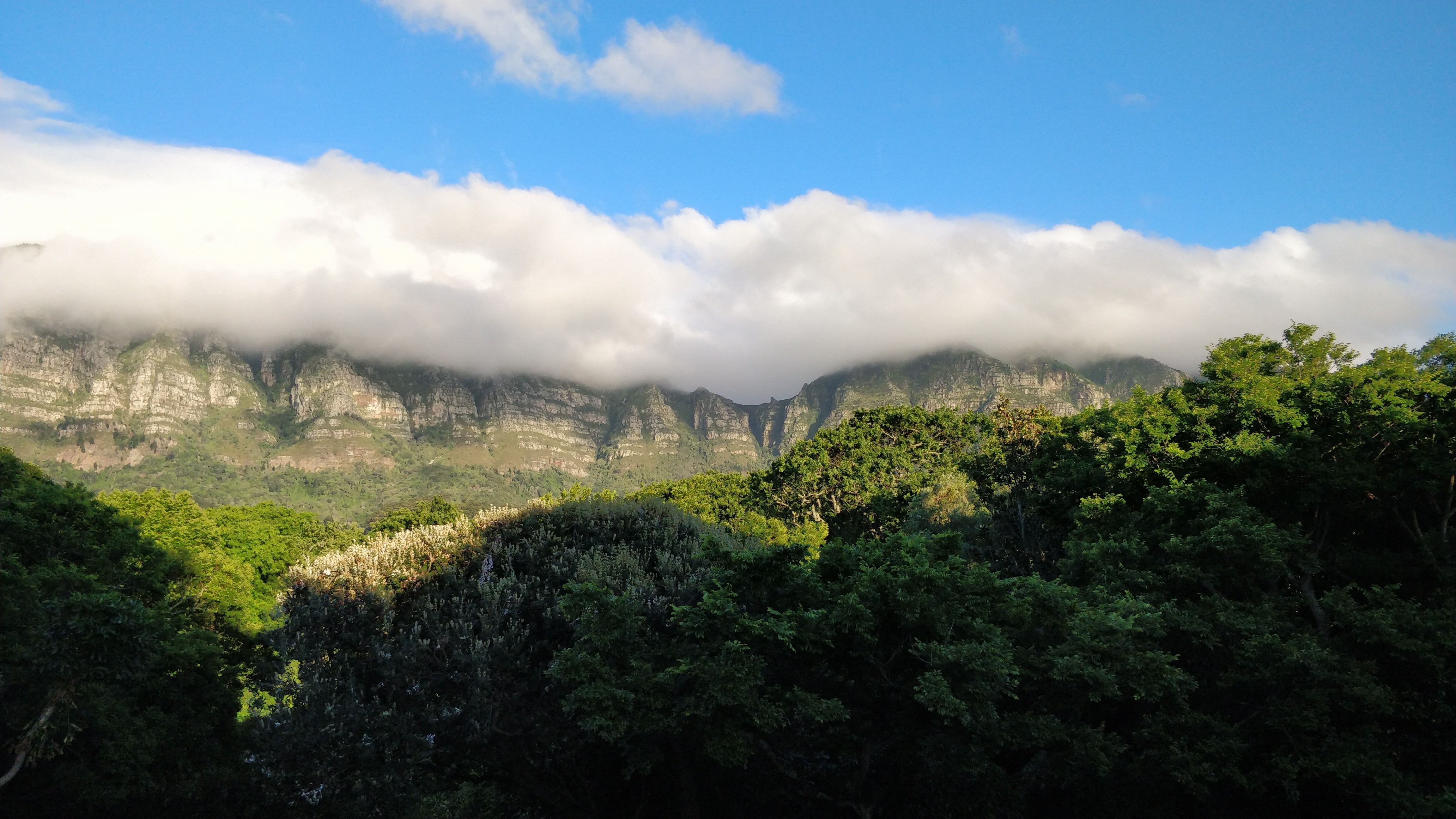 table mountain with tablecloth